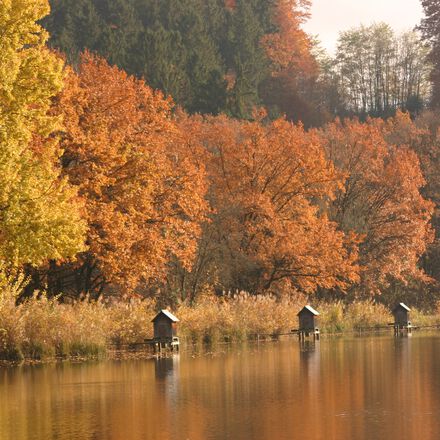 Farbenspiel der Natur im Herbsturlaub